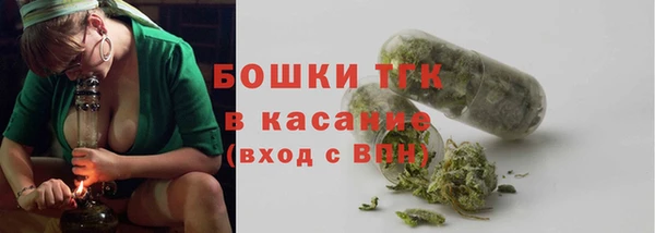 дмт Мегион