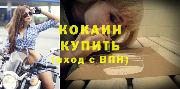 дмт Мегион