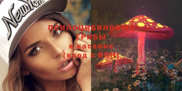 СК Магас