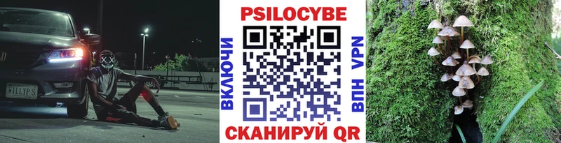Псилоцибиновые грибы Magic Shrooms Нижняя Тура